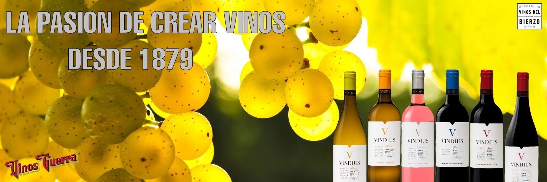 LA PASION DE CREAR VINOS DESDE 1879