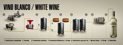Vino Blanco