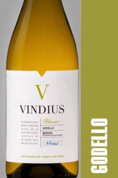 Vindius Godello