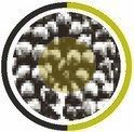 variedadb