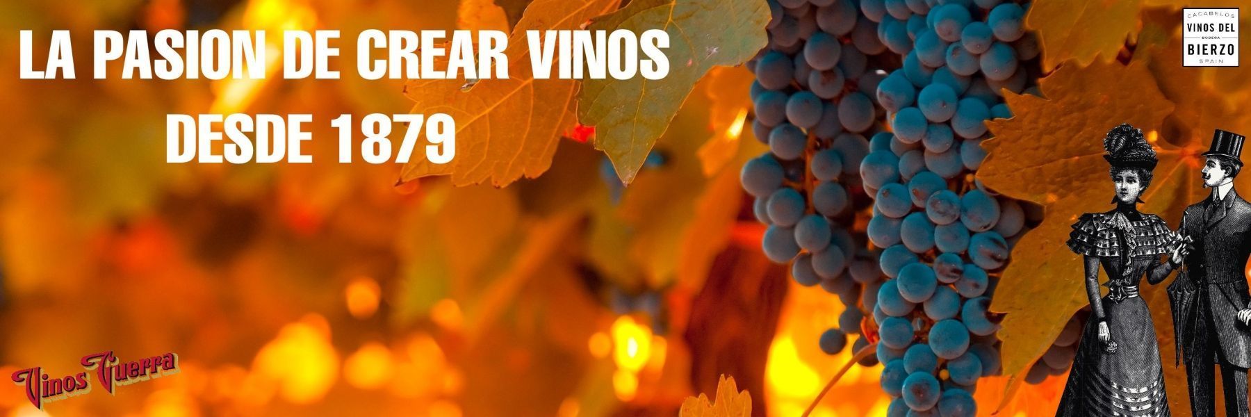 LA PASION DE CREAR VINOS DESDE 1879