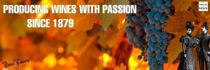 LA PASION DE CREAR VINOS DESDE 1879