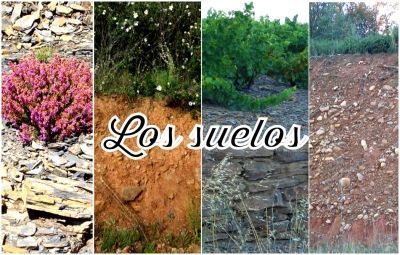 Los Suelos
