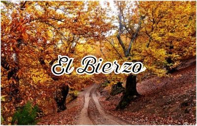 El Bierzo