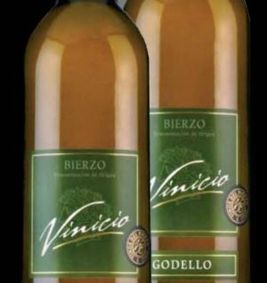 Vinicio