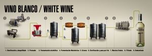 Producing whites