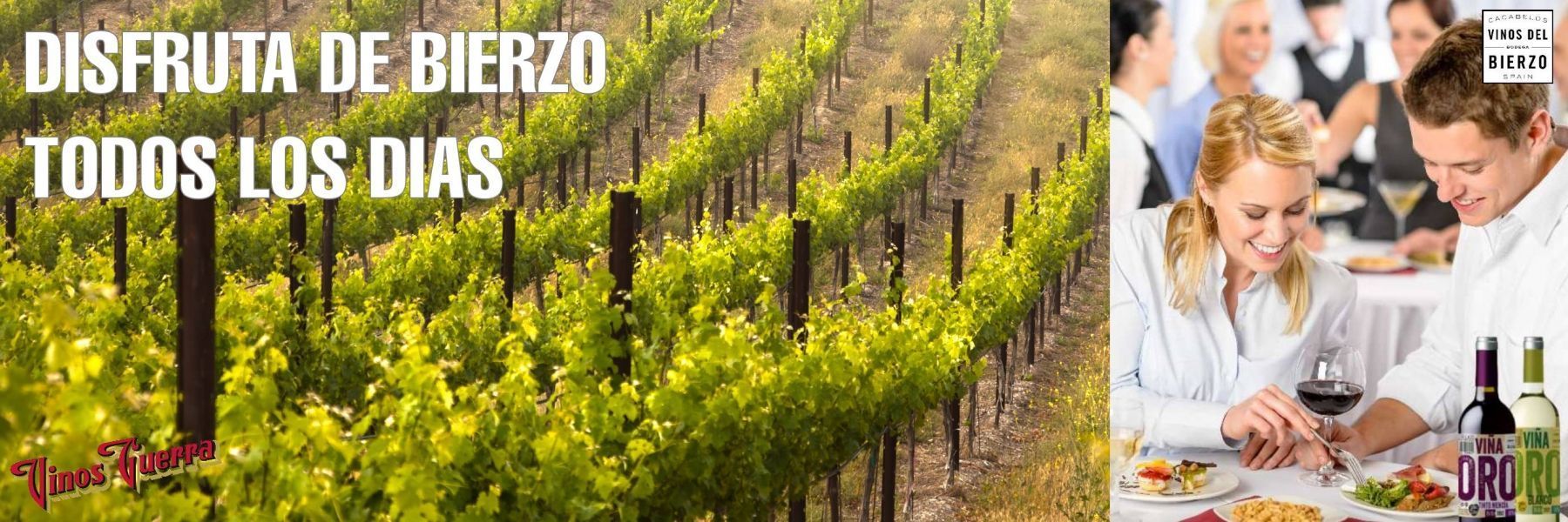 Disfruta de Bierzo