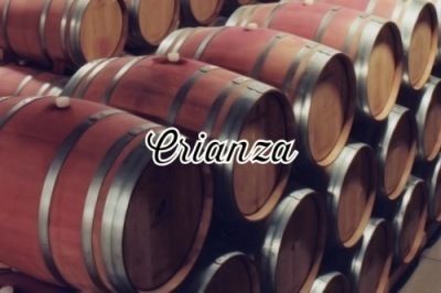 Crianza