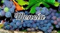Mencia