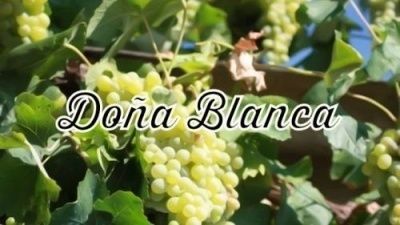 Dona Blanca
