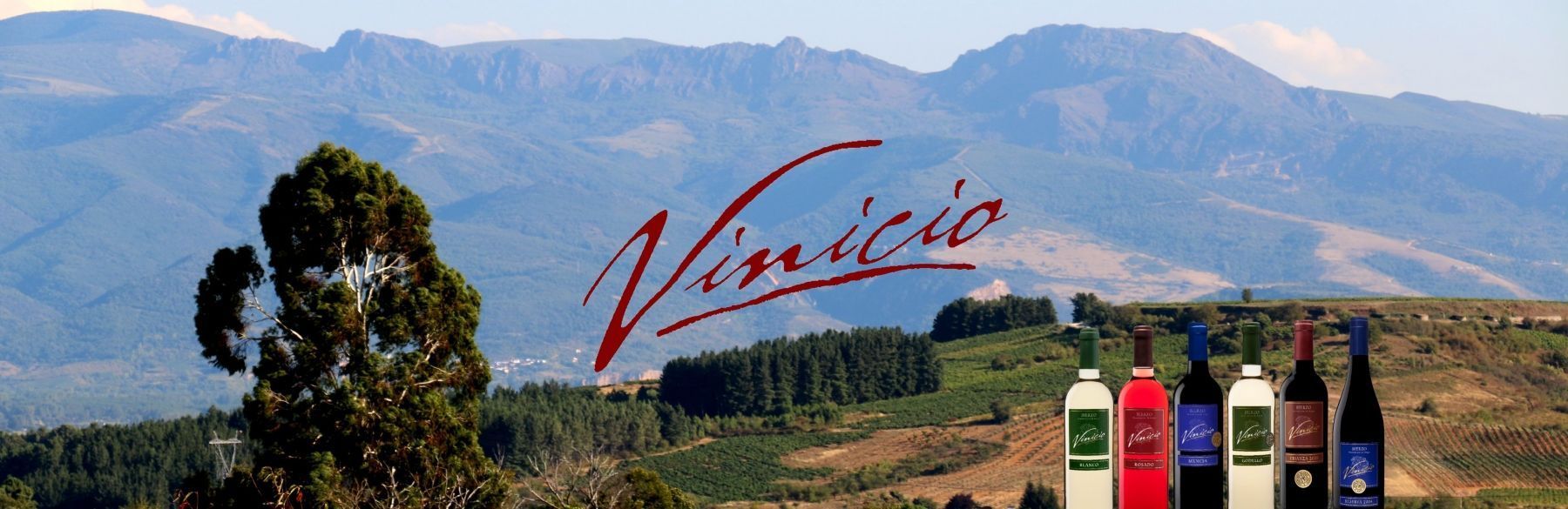 Disfruta de Bierzo