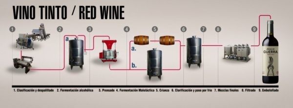 Vino Tinto
