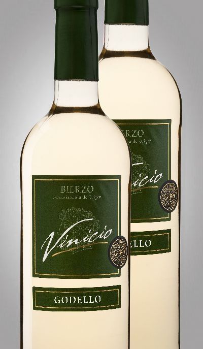 Vinicio Godello