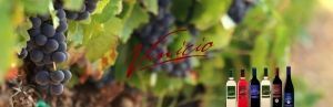 LA PASION DE CREAR VINOS DESDE 1879