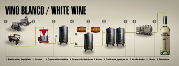 Vino Blanco